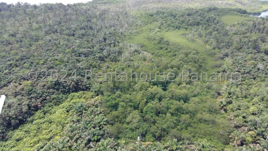 Land for Sale in Bocas Del Toro Bocas del Toro 01001